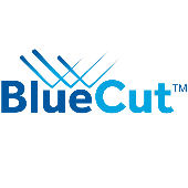 BLUE LIGHT CUT